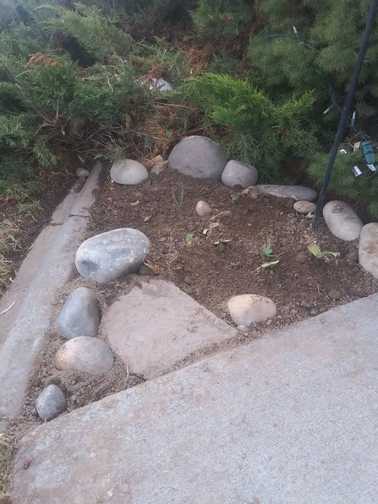 Affordable landscape design in Iona, ID - A+ Lawn Pro