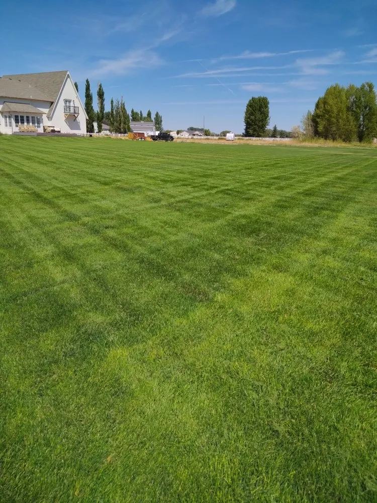 Reliable yard maintenance near you across Iona, ID - A+ Lawn Pro