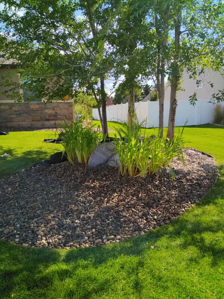 Professional yard cleanup service in Iona, ID - A+ Lawn Pro