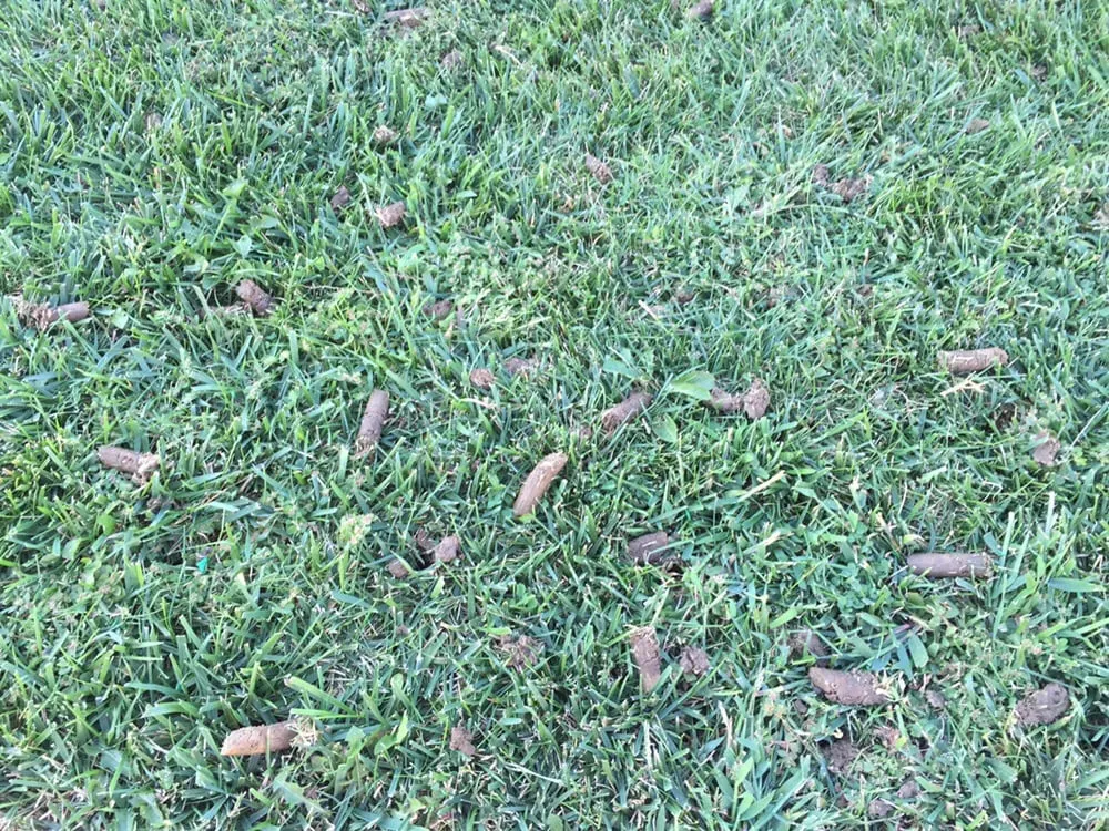 Expert yard maintenance in Milford, OH by A+ Lawn Scapes