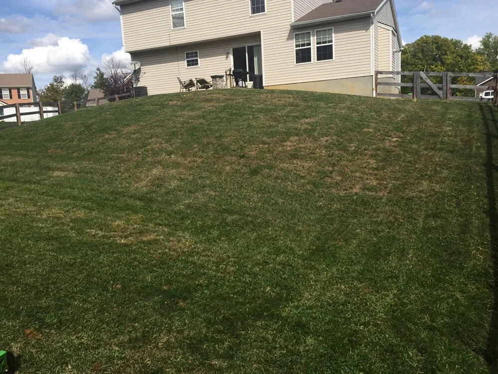 Local yard maintenance for residential properties across Milford, OH - A+ Lawn Scapes