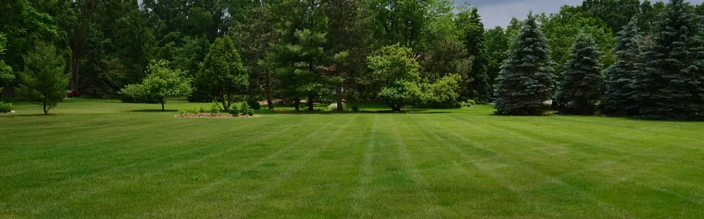 Custom lawn mowing service in Binghamton, NY by A+ Lawn Service