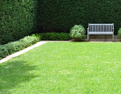 Trusted lawn mowing service in Binghamton, NY - A+ Lawn Service