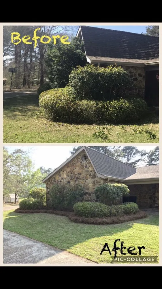 Top-rated landscaping services in Philadelphia, MS - A+ Lawn Service