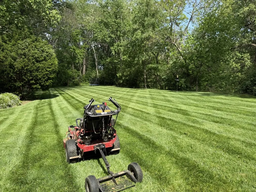 Professional outdoor landscaping in Arlington, VA - A lawn Services