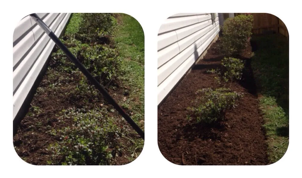 Trusted landscaping services experts serving Arlington, VA - A lawn Services