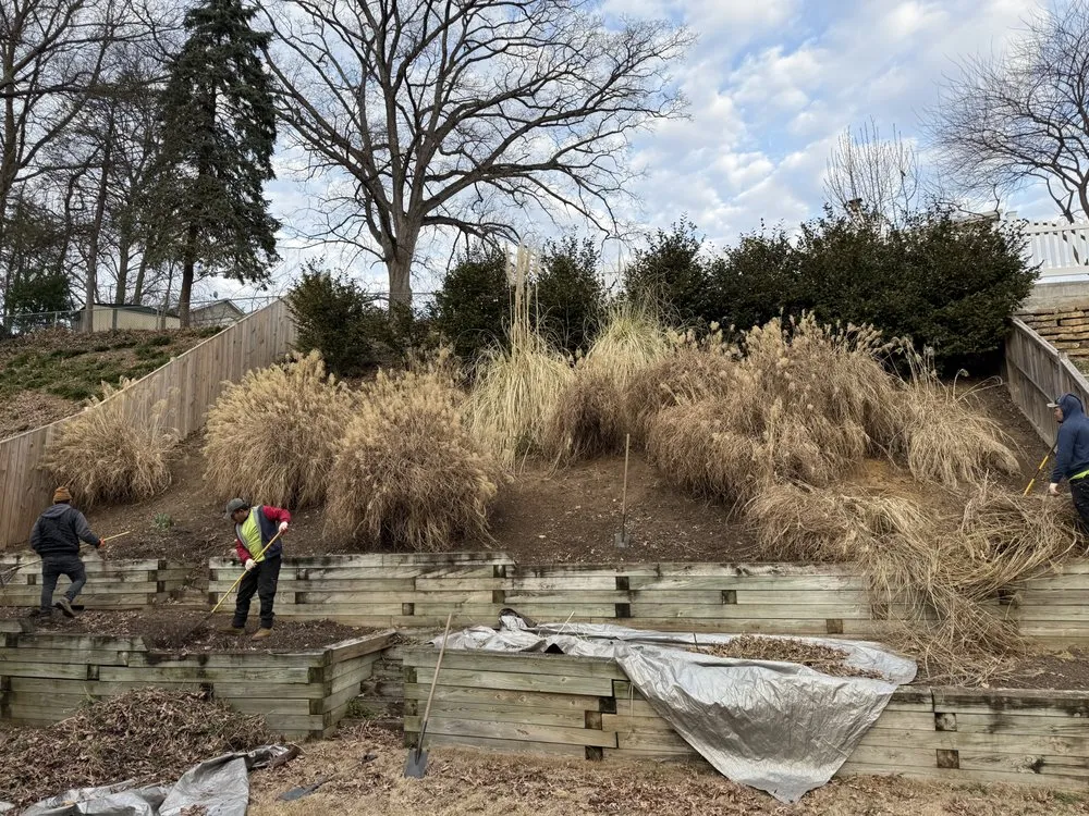 Trusted residential landscaping in Arlington, VA - A lawn Services