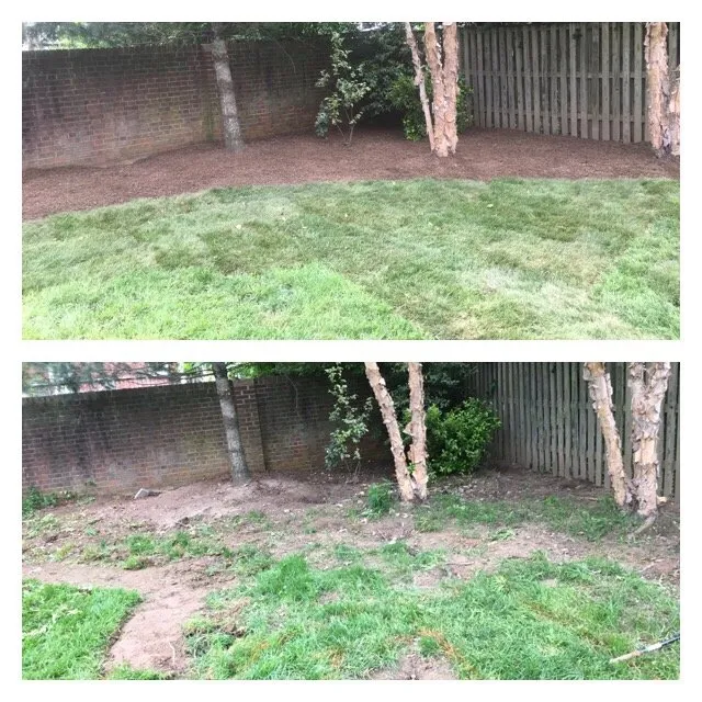 Expert residential landscaping in Arlington, VA - A lawn Services