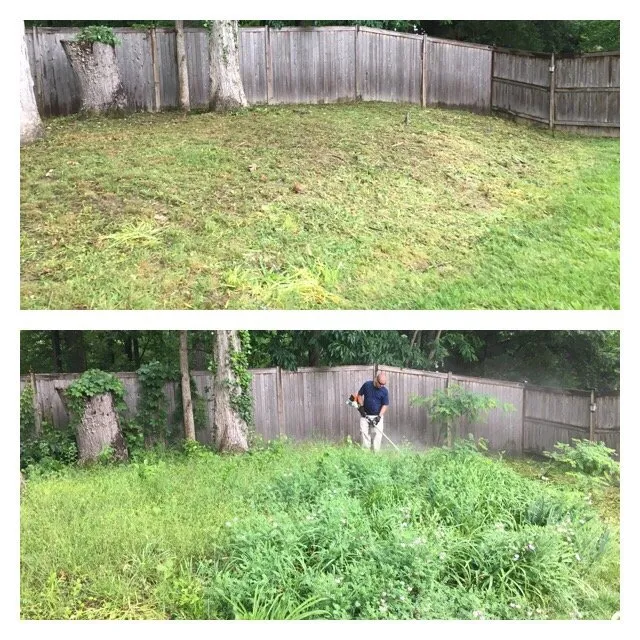 Trusted garden landscaping in Arlington, VA by A lawn Services