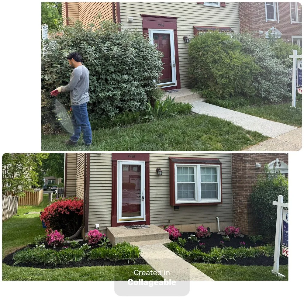 Local garden landscaping for year-round maintenance in Arlington, VA by A lawn Services