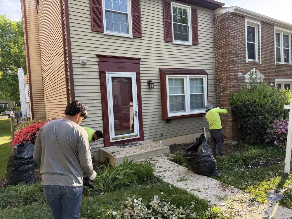 Top-rated residential landscaping for residential properties in Arlington, VA by A lawn Services