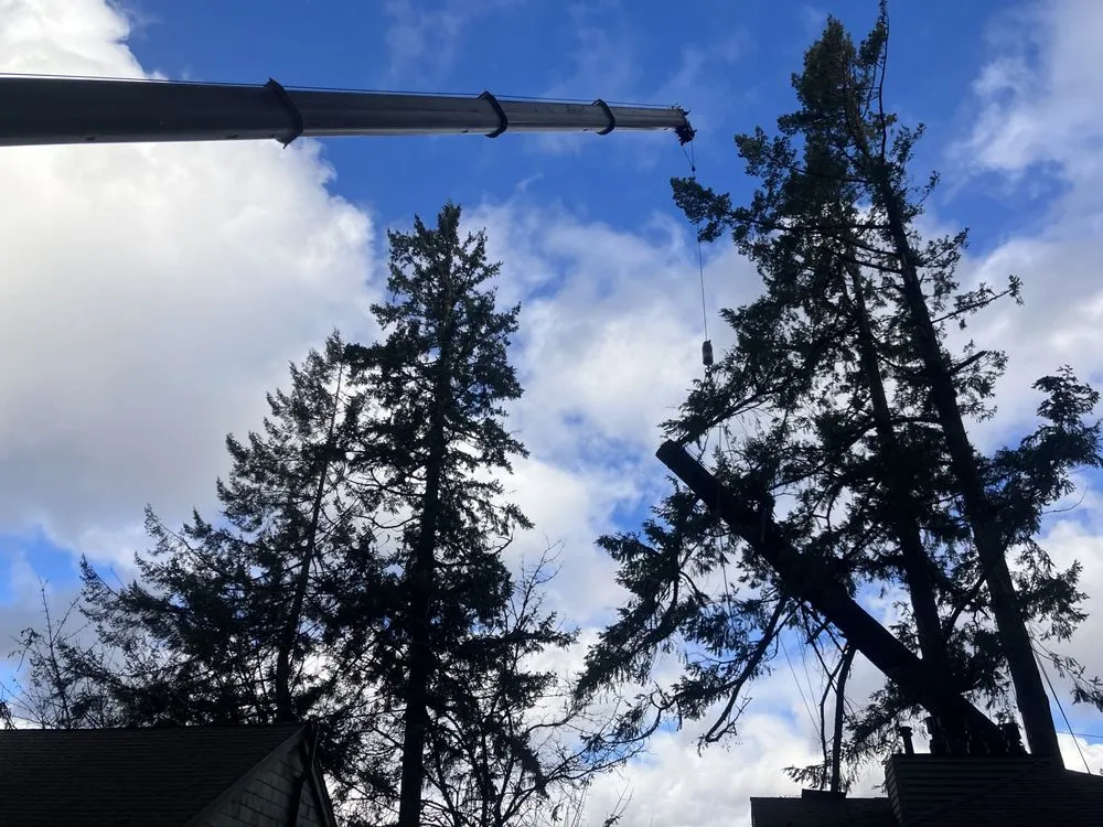 Reliable landscaping services near you in Hood River, OR by A Life With Trees, LLC