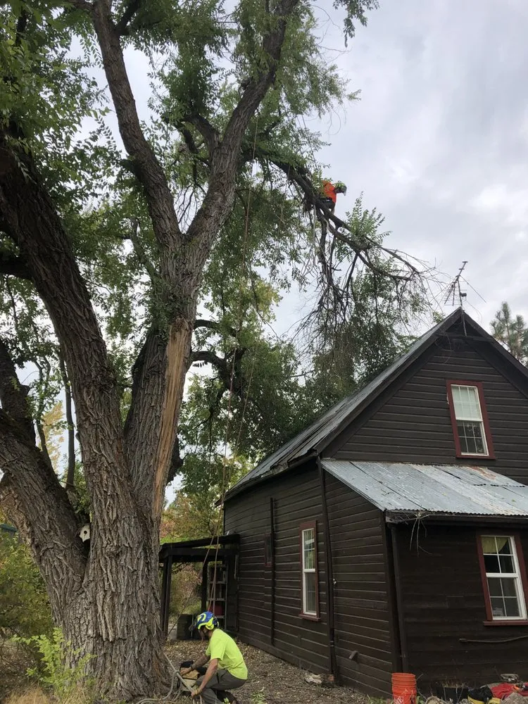 Trusted lawn care service in Hood River, OR by A Life With Trees, LLC