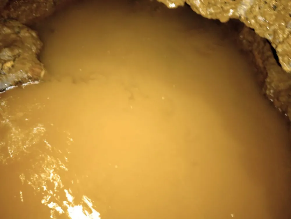 Expert landscaping services in Esperance, NY - A Lil Bit Of Everything