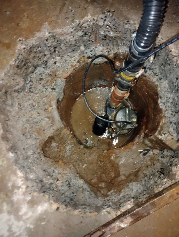 Top-rated landscape installation in Esperance, NY - A Lil Bit Of Everything