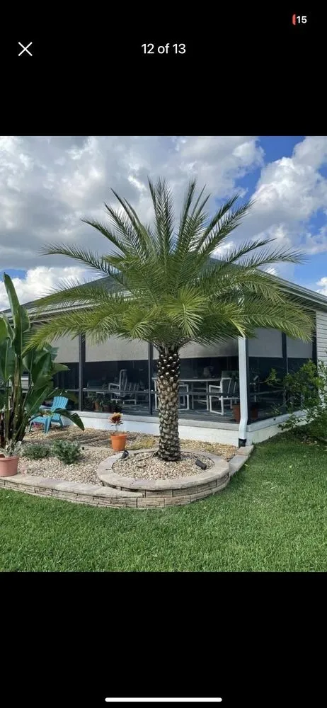 Expert lawn care service in Oxford, FL by A Limb Above Tree Service