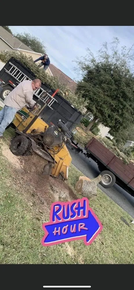 Affordable yard cleanup service in Oxford, FL - A Limb Above Tree Service