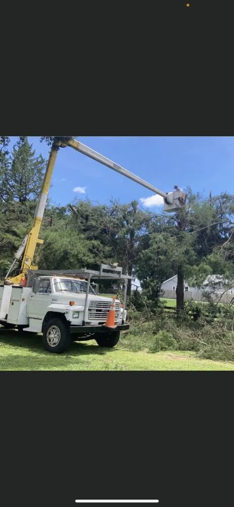 Trusted outdoor landscaping experts serving Oxford, FL - A Limb Above Tree Service