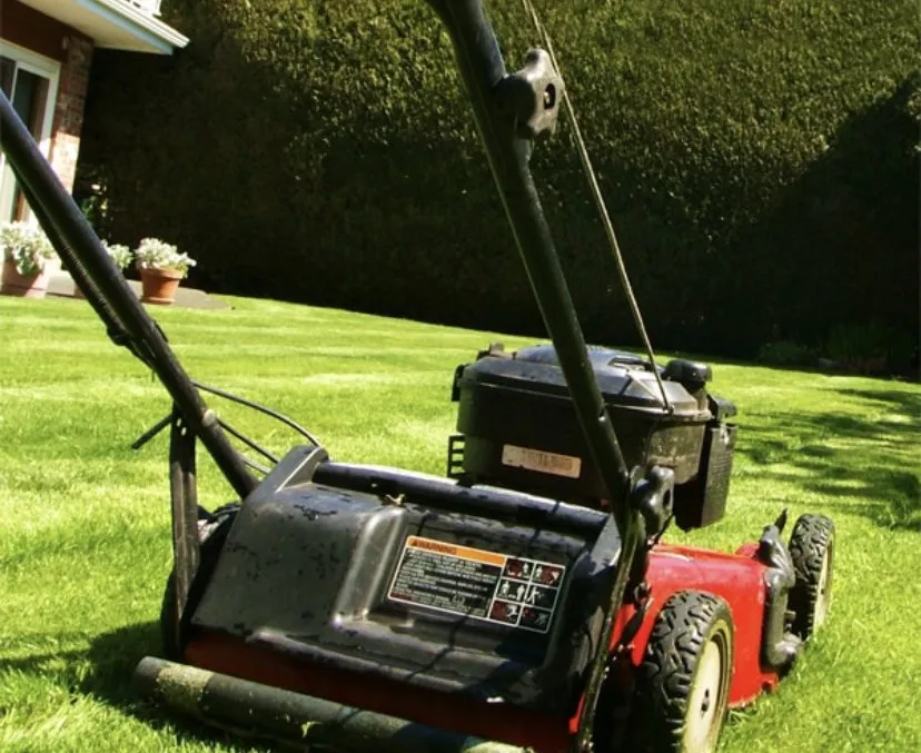 Top-rated landscaping services near you in Myrtle Beach, SC by A little Bet Of Everything