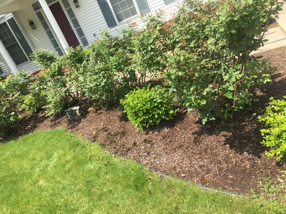Affordable garden landscaping for residential properties across Columbus, IN - A Little Bit of Everything