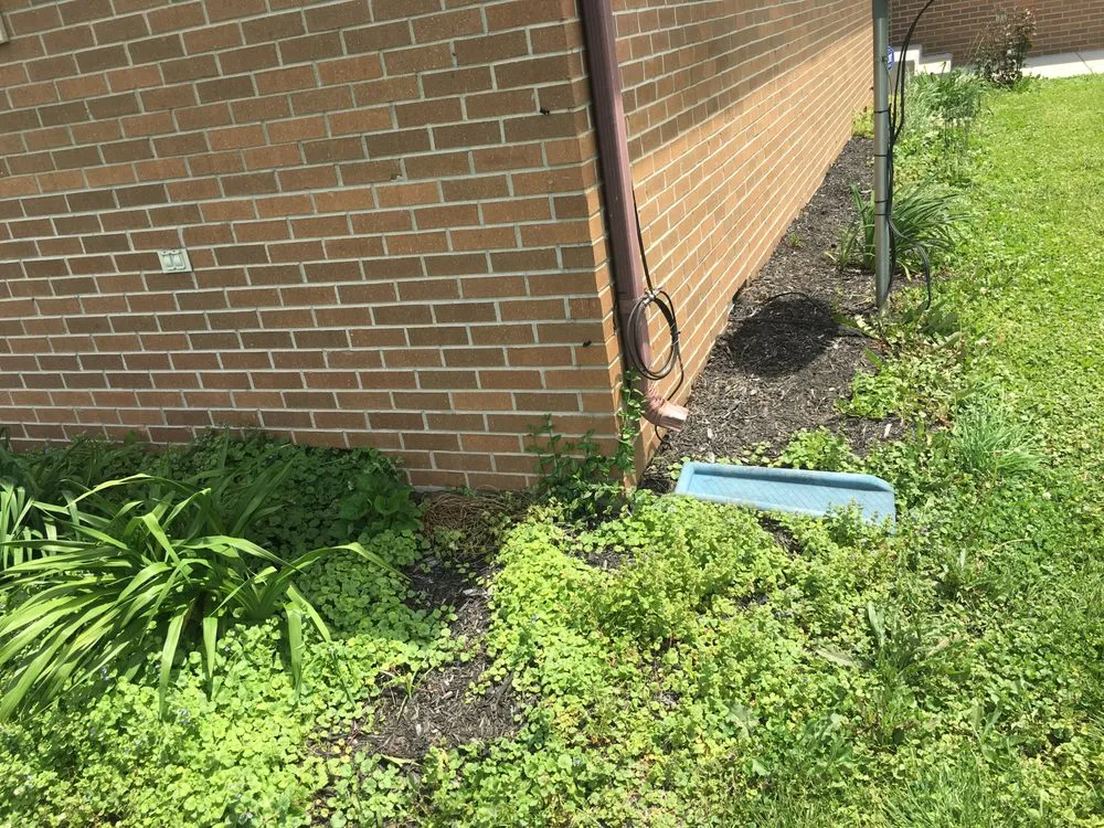 Affordable residential landscaping experts serving Columbus, IN - A Little Bit of Everything