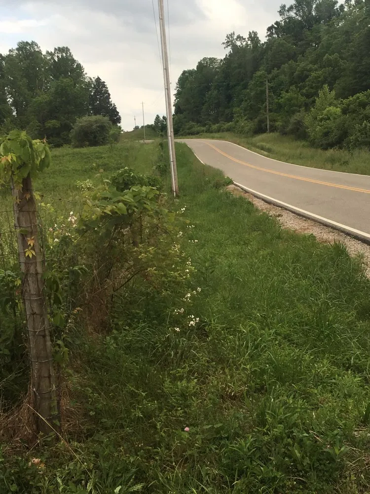 Local yard cleanup service experts serving Columbus, IN - A Little Bit of Everything