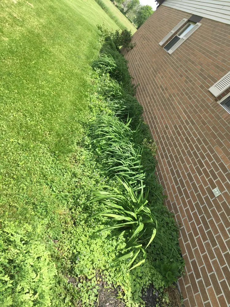 Affordable outdoor landscaping in Columbus, IN - A Little Bit of Everything