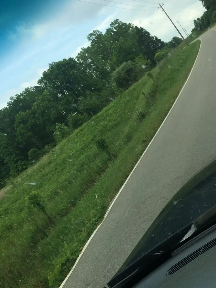 Trusted yard maintenance experts serving Columbus, IN - A Little Bit of Everything