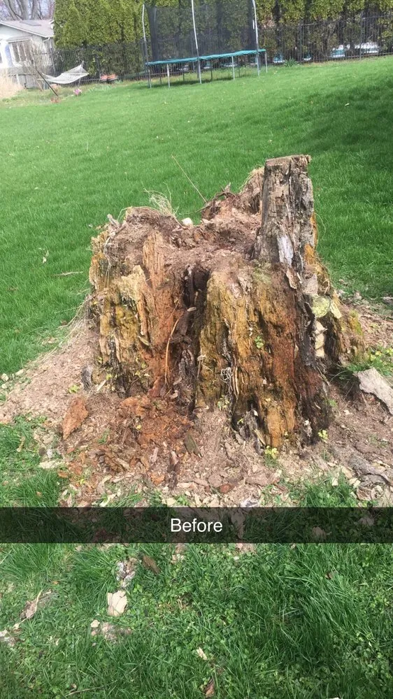 Reliable outdoor landscaping in Columbus, IN by A Little Bit of Everything