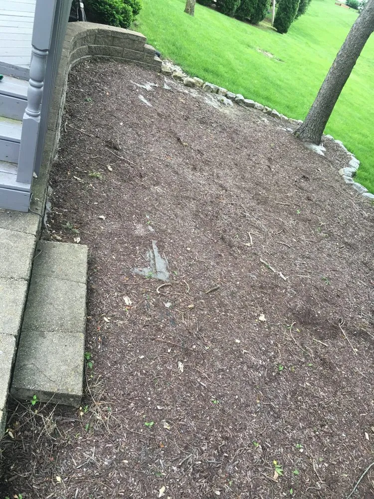 Expert yard cleanup service for residential properties across Columbus, IN - A Little Bit of Everything