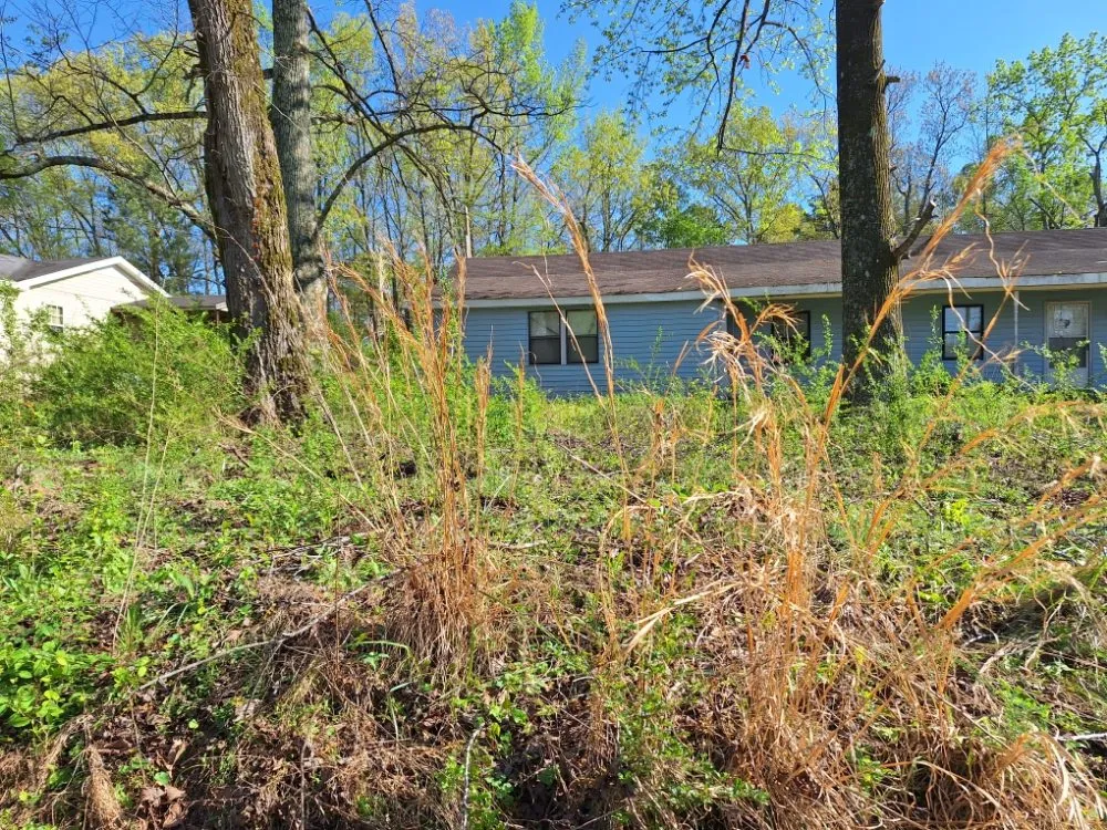 Affordable lawn care service experts serving Corinth, MS - A Little Bit Of Everything