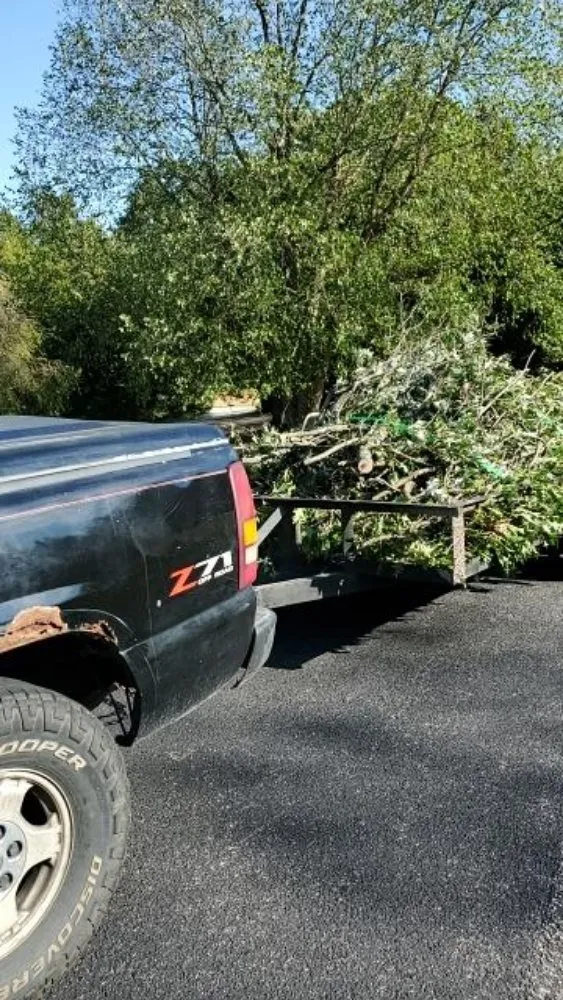 Top-rated yard cleanup service in Beaufort, MO by A Little Bit Tree Service