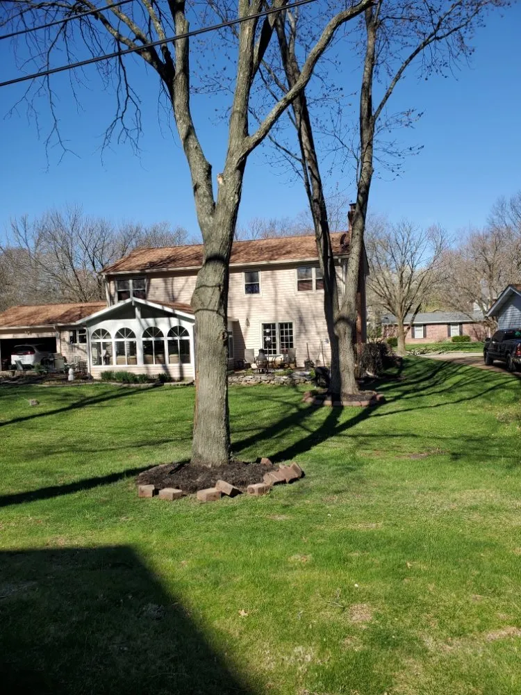 Trusted lawn mowing service for homes in Beaufort, MO by A Little Bit Tree Service