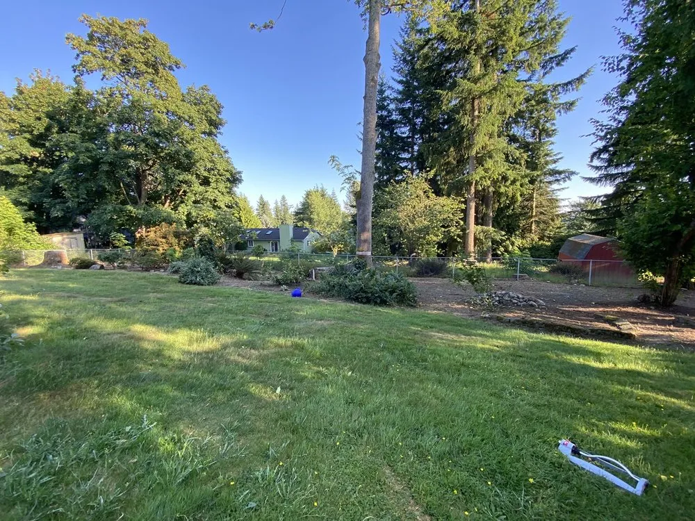 Local yard maintenance in Everett, WA by A Living Art Landscaping
