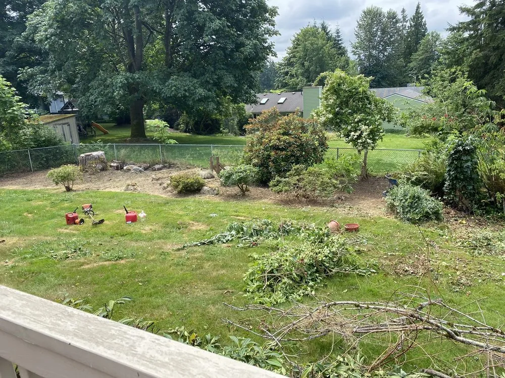 Reliable lawn care service in Everett, WA - A Living Art Landscaping