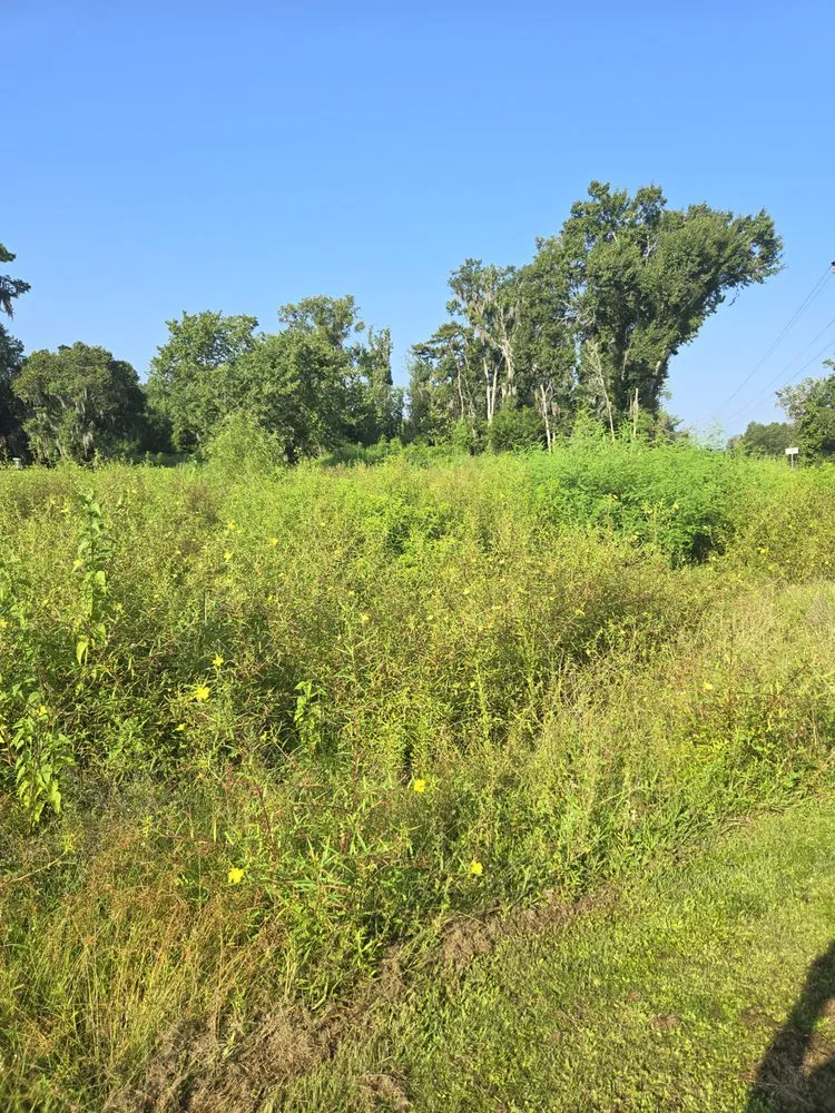 Custom yard cleanup service experts serving Houma, LA - A Local Landscaper