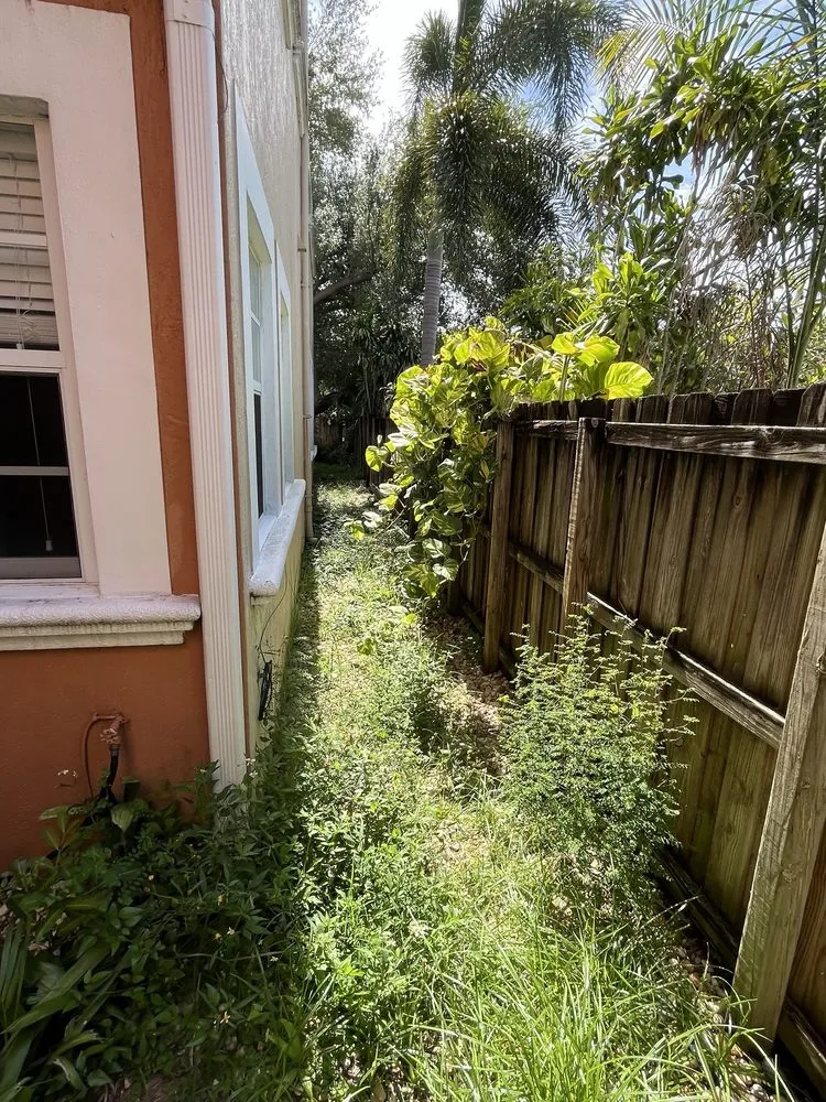 Local landscape design for homes in Wilton Manors, FL by A Local Landscaper