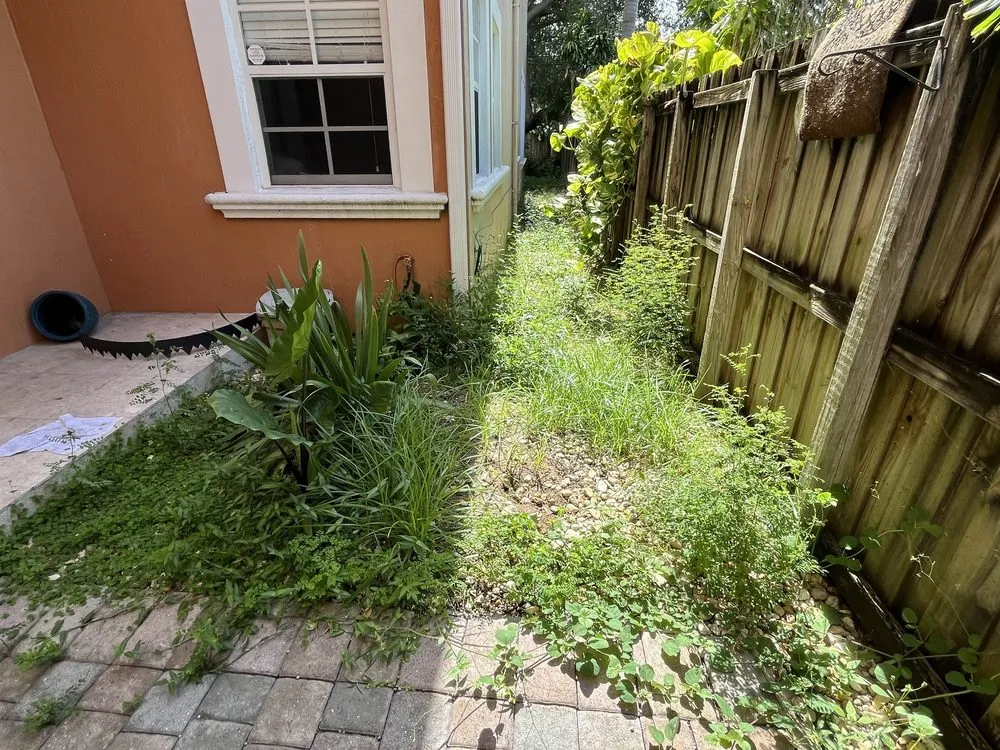 Custom lawn care service in Wilton Manors, FL by A Local Landscaper