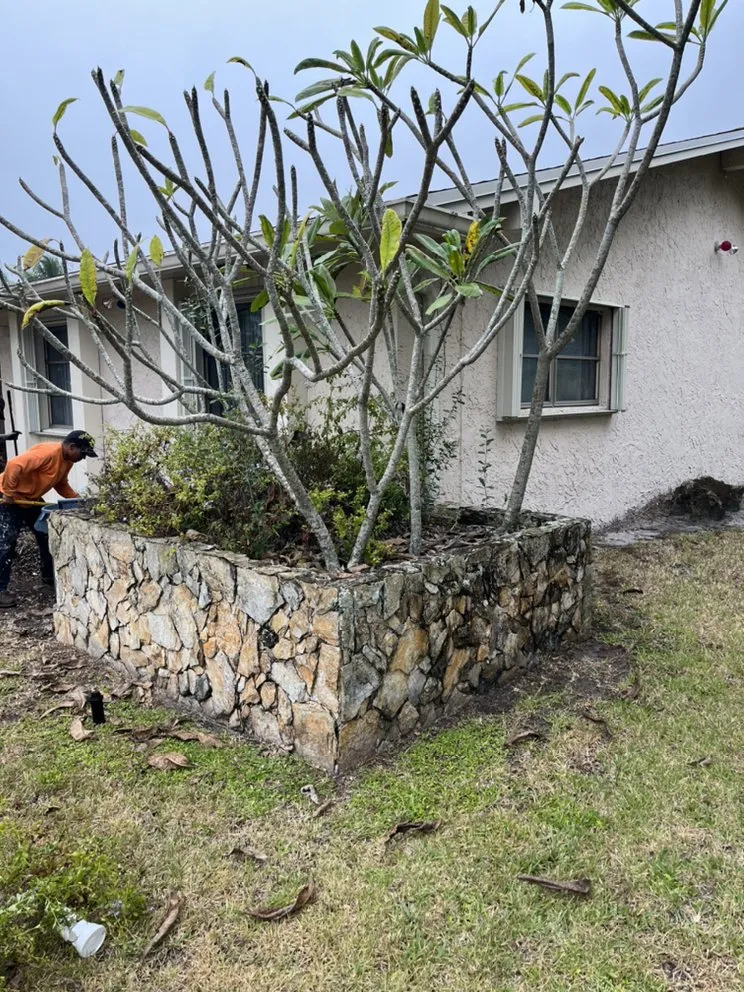 Professional outdoor landscaping for beautiful yards in Wilton Manors, FL by A Local Landscaper