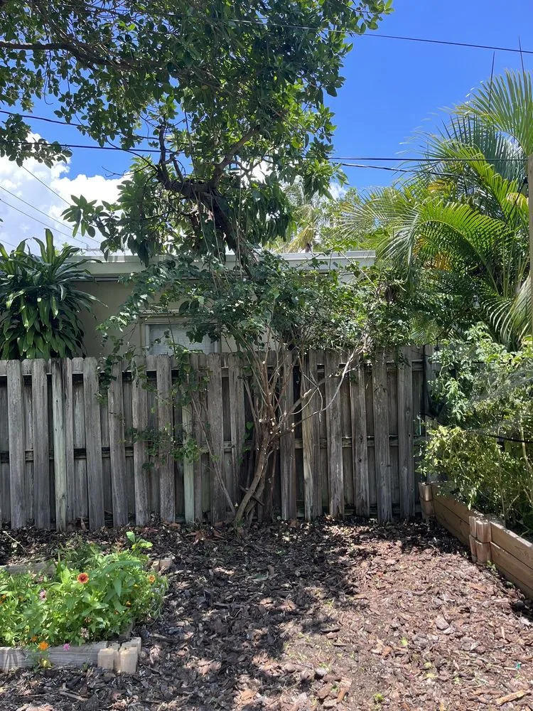 Professional lawn mowing service in Wilton Manors, FL - A Local Landscaper