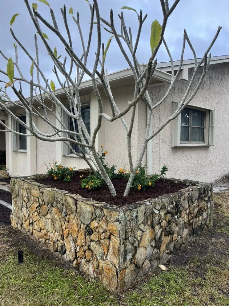 Professional landscape design in Wilton Manors, FL by A Local Landscaper