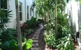 Reliable yard cleanup service experts serving Wilton Manors, FL - A Local Landscaper