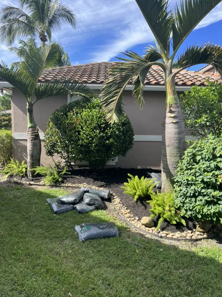 Top-rated yard maintenance in Wilton Manors, FL by A Local Landscaper