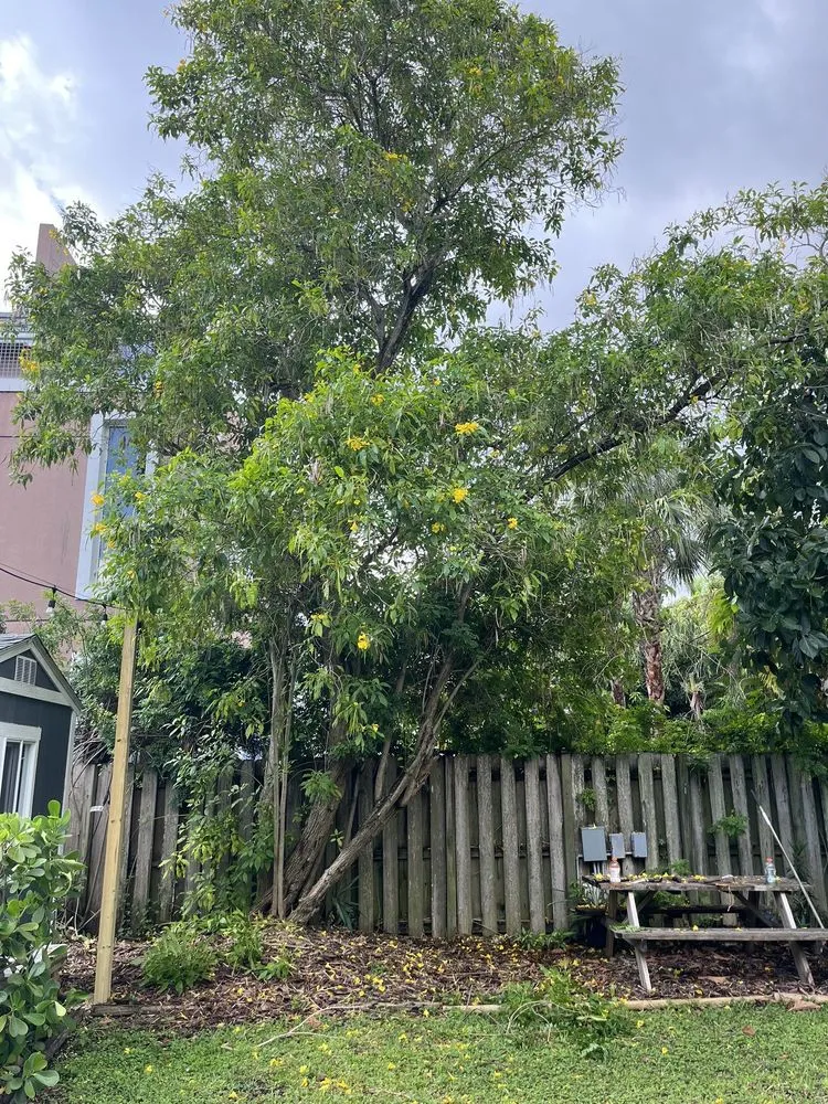 Top-rated residential landscaping experts serving Wilton Manors, FL - A Local Landscaper