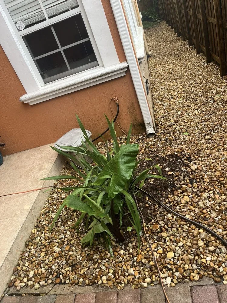 Reliable landscape design experts serving Wilton Manors, FL - A Local Landscaper