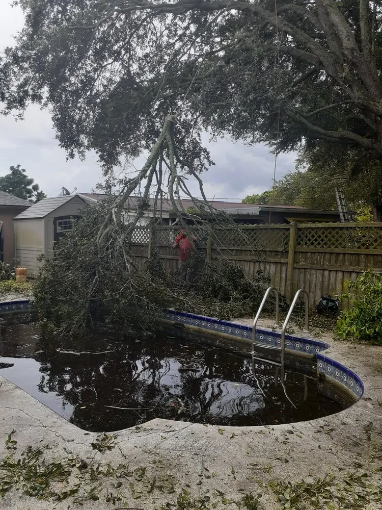 Expert yard cleanup service for homes in Spring Hill, FL by A Lot More Than Tree Work