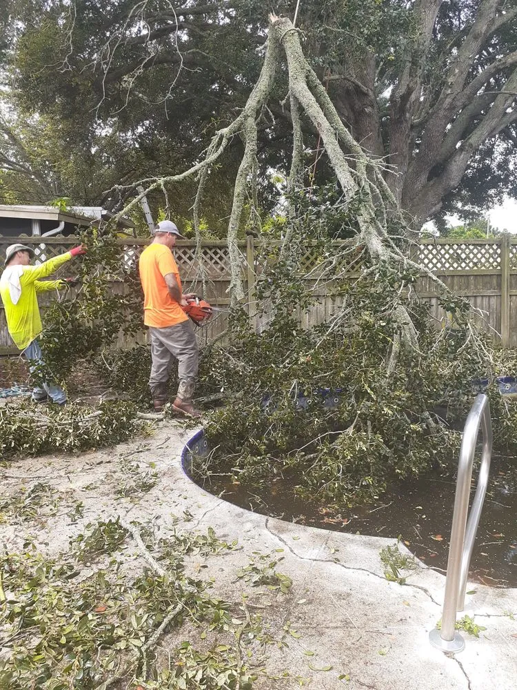 Expert landscaping services for beautiful yards in Spring Hill, FL by A Lot More Than Tree Work