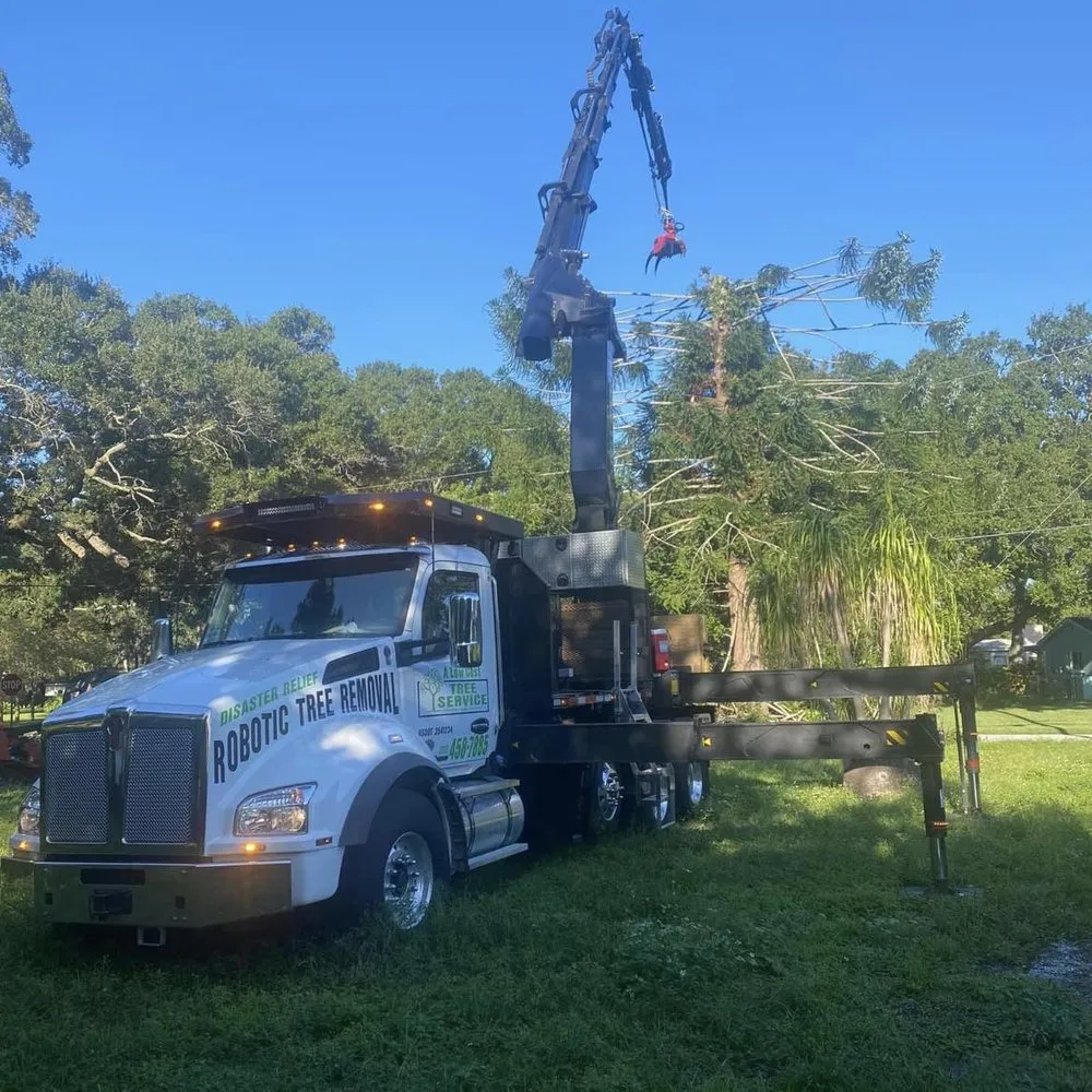 Expert yard maintenance for residential properties in Saint Petersburg, FL by A Low Cost Tree Service