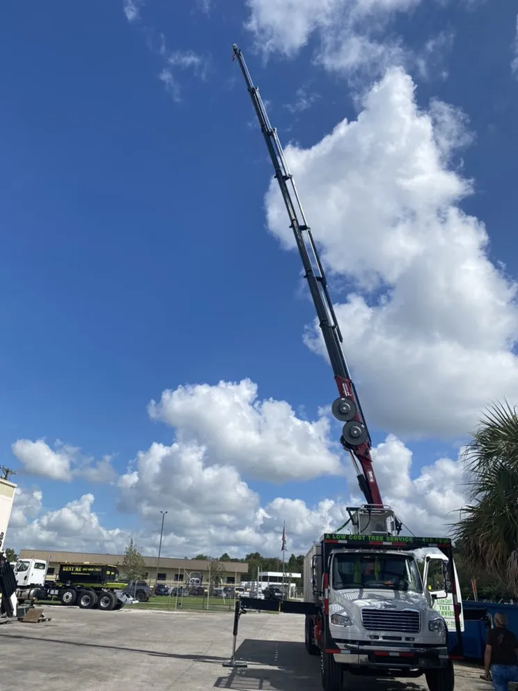 Reliable lawn mowing service for homes in Saint Petersburg, FL by A Low Cost Tree Service