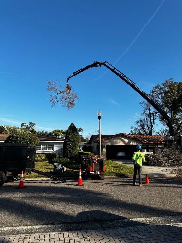 Reliable landscape installation with custom design across Saint Petersburg, FL - A Low Cost Tree Service